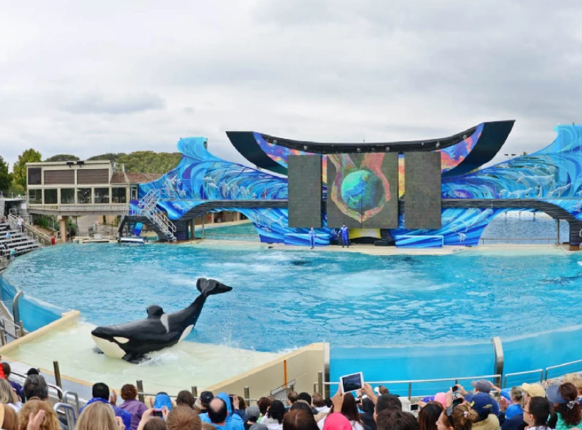 SeaWorld San Diego, United States